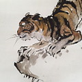 Tiger At Rest